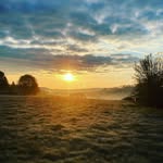 Michael Bornemann - @michael.bornemann.14 - Instagram