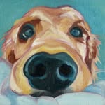 Michael A. Borys - @michael_a_borys - Instagram