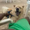 michael__boss - @michael__boss - TikTok