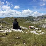 Michael Bosch - @bosch_10_08 - Instagram