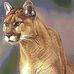 Michael Boser - Facebook