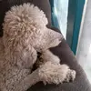 michaelbosnak - @michaelbosnak - TikTok