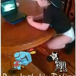 Michael Bosshart - @michael.bosshart.3532 - Instagram
