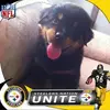Michael Bossick - @michael.bossick - TikTok