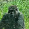 Michael Botello - @michaelbotello1 - TikTok