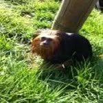 Michael Bothwell - @michaelbothwellas - Instagram
