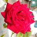 Mukul Batham - Facebook
