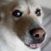 Michael Purkhardt - Facebook