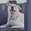 Michael Bourque - @michael.bourque5 - TikTok