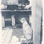 Michel Bourquin - @michel.bourquin.5 - Instagram