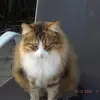 Michel Bouyer - @michel.bouyer - TikTok