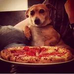 Michael Bovenkamp - @michaelbovenkamp - Instagram