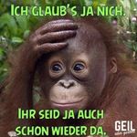 Michael Götze - @michael.bovensiepen.16 - Instagram