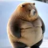 Michael.bowln - @michael.bowln - TikTok