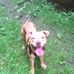 Michael Bower - Facebook
