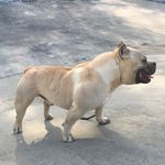 Michael Bowers - @michaelbowers58 - Instagram