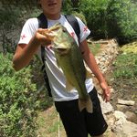 Michael Bowsher - @mb_bassin - Instagram
