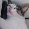 Michael - @michaelboxx - TikTok