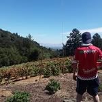 Michael Boyce - @michaelboyce7340 - Instagram