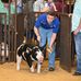 Michael Boyd - Facebook