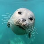 michael boyd - @michaelboyyd - Instagram