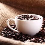 Michael Boyd - @oldmillcoffeewestlothian - Instagram