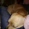 Michael Boyd  - @michaelboyd223456789 - TikTok