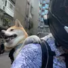 Michael - @michaelboyeee - TikTok