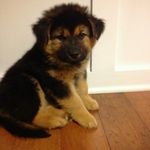 michael boyett - @mikecoolman770 - Instagram