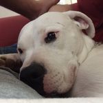 Michael Boylan - @mikeb680 - Instagram