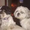 Michael Boylan - @michael.boylan5 - TikTok