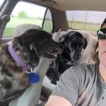 Michael Boyne - @michael_boyne - Instagram