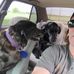 Michael Boyne - Facebook