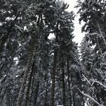 Michael Boynton - @michael_boynton1369 - Instagram
