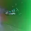 michaelboyte433 - @michaelboyte433 - TikTok