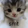 michaelboytim8 - @michaelboytim8 - TikTok