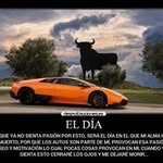 Michael Bracamonte - @michaelbracamonte - Instagram