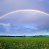 James Vince - @michael.bracewell08 - TikTok