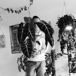 Michael Bracht - @madtrico - Instagram
