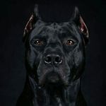 Michael Roy Bragg - @michaelbragg - Instagram