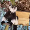 Michael Bramer - @michaelbramer59 - TikTok
