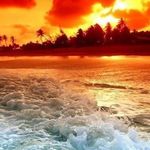 Michael Brancatisano - @michaelbrancatisano - Instagram