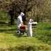 Michael Branco - Facebook