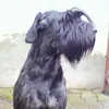 Michael Brändel - @michaelfuel0 - TikTok