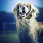michael_brandelet122 - @michael_brandelet122 - Instagram
