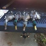 Michael Branscum - @branscum7647 - Instagram