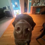 Michael Branson - @michaelb6553 - Instagram