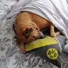michaelbritten - @michaelbritten - TikTok
