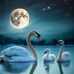 Michel Bratz - Facebook