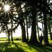 Michael Brauner - Facebook